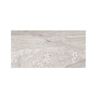ASHEN SILK 12X24 POLISHED Tile & Stone by Anthology Tile
