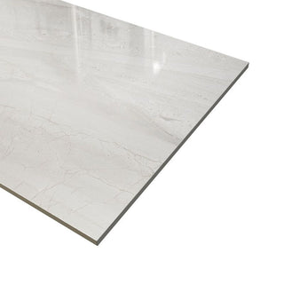 ASHEN SILK 12X24 POLISHED Tile & Stone by Anthology Tile