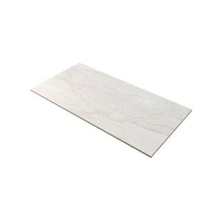 ASHEN SILK 24X48 MATTE Tile & Stone by Anthology Tile