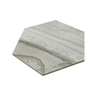 ASHEN SILK HEXAGON MATTE Tile & Stone by Anthology Tile