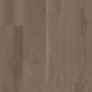 ASPIRE NATURAL BEVEL - Frontier Brown Vinyl by Shaw Floors