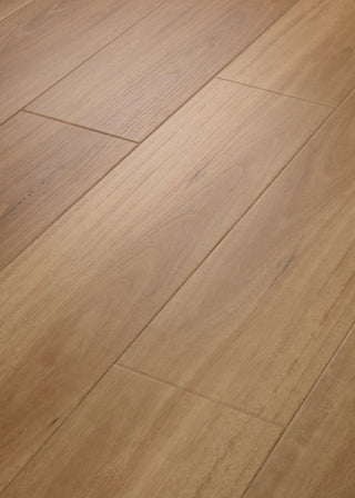 ASPIRE NATURAL BEVEL - Golden Shores Vinyl by Shaw Floors