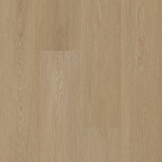 ASPIRE NATURAL BEVEL - Nomadic Brown Vinyl by Shaw Floors