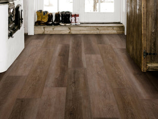 ASPIRE NATURAL BEVEL - Trailblazer Brown Vinyl by Shaw Floors