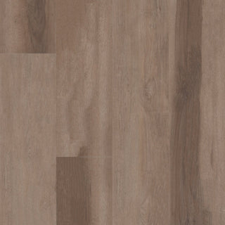 ASPIRE NATURAL BEVEL - Trailblazer Brown Vinyl by Shaw Floors