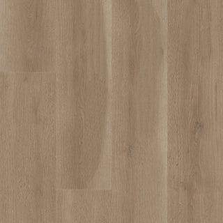 ASPIRE NATURAL BEVEL - Woodland Truffle Vinyl by Shaw Floors