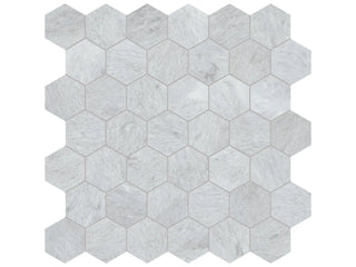 Aura Fresca Hexagon 2" Tile & Stone by Anatolia Tile