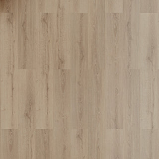 Aurelia spc by Pacific Direct Industries
