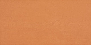 Authentic Orange Rectangle Tile & Stone by American Olean