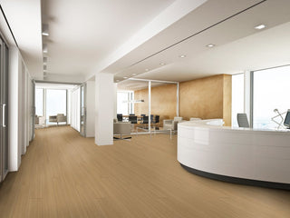 Balance Vinyl by TAS Flooring