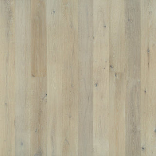 Balboa Oak Engineered Hardwood by Hallmark Floors