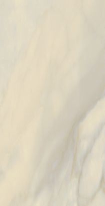 Bardiglio Crema Polished 12x24 Tile & Stone by Happy Floors