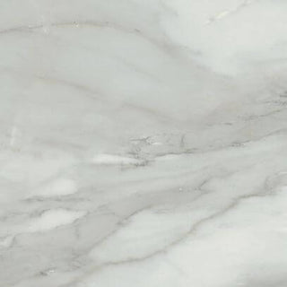 Bardiglio Grigio Polished 24x24 Tile & Stone by Happy Floors