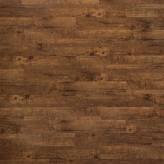 Barn Owl Vinyl by Urban Surfaces