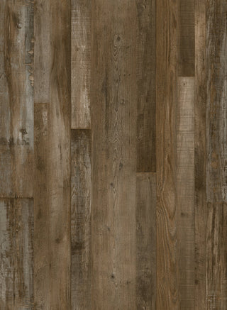 Barney spc by TAS Flooring