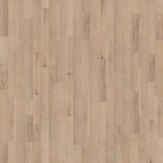 Beach Town Blanc Engineered Hardwood by Cali Floors