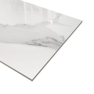 BELLA TUSCANA 12X24 POLISHED Tile & Stone by Anthology Tile