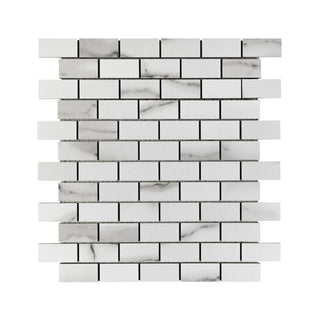 BELLA TUSCANA 1X2 MOSAIC MATTE Tile & Stone by Anthology Tile