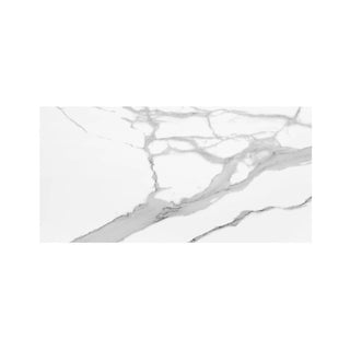 BELLA TUSCANA 24X48 MATTE Tile & Stone by Anthology Tile
