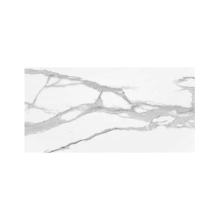 BELLA TUSCANA 24X48 POLISHED Tile & Stone by Anthology Tile