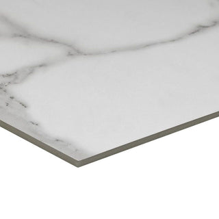 BELLA TUSCANA HEXAGON MATTE Tile & Stone by Anthology Tile