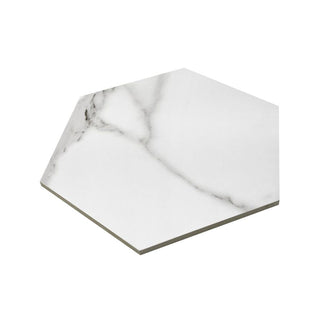 BELLA TUSCANA HEXAGON MATTE Tile & Stone by Anthology Tile