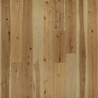 Belle Meade Hickory Engineered Hardwood by Hallmark Floors