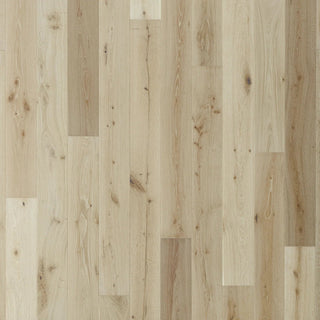 Belmont Hills in Inglewood Engineered Hardwood by Paradiso