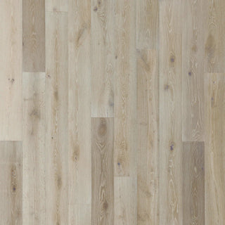 Belmont Hills in Marina Engineered Hardwood by Paradiso