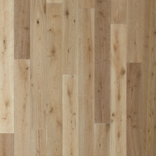 Belmont Hills in Oakdale Engineered Hardwood by Paradiso