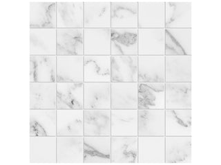 Bianco 2x2 Tile & Stone by Anatolia Tile