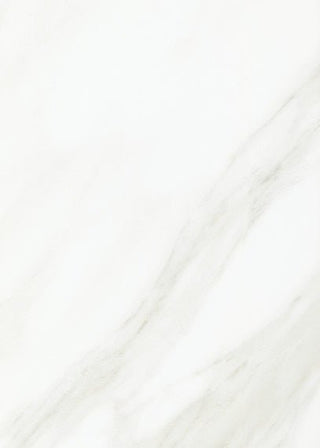 Bianco Carrara Rectangle Tile & Stone by American Olean