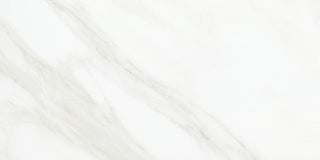 Bianco Carrara Rectangle Tile & Stone by American Olean