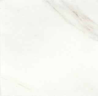 Bianco Carrara Square Tile & Stone by American Olean