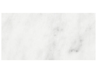Bianco Venatino 3x6 Polished Tile & Stone by Anatolia Tile
