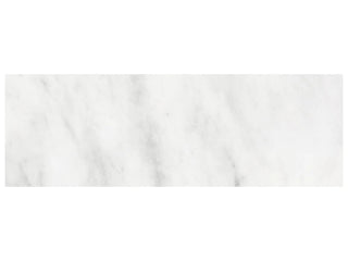 Bianco Venatino 6x18 Honed Tile & Stone by Anatolia Tile
