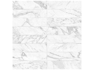Bianco Vita Artisan Tile & Stone by Anatolia Tile