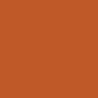 Blaze Rectangle Tile & Stone by American Olean