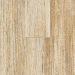 Blissful Brindle Vinyl by Armstrong Flooring