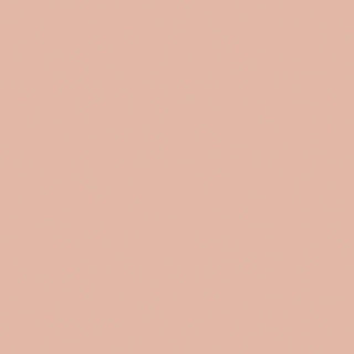 Blush Rectangle Tile & Stone by American Olean