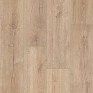Boardwalk in Promenade Oak Vinyl by DH Floors