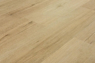 Bonafide Canvas spc by Montserrat Floors