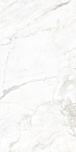 Borghini Polished 12x24 by Happy Floors