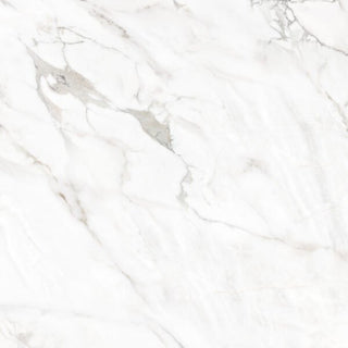 Borghini Polished 24x24 by Happy Floors