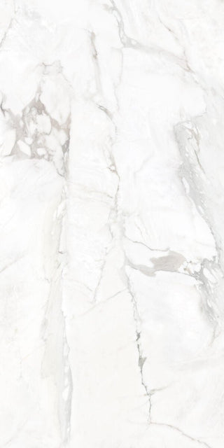 Borghini Polished 24x48 by Happy Floors