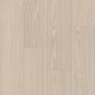 Bravo in Adalbero Ash Vinyl by DH Floors