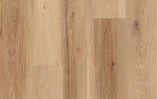 Brighton Vinyl by Lions Floor