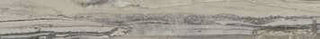 Bullnose Exotic Stone Fossil Natural 3x24 Tile & Stone by Happy Floors