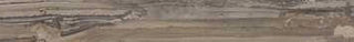 Bullnose Exotic Stone Tundra Natural 3x24 Tile & Stone by Happy Floors