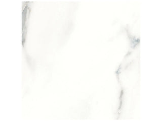 Calacatta 12x12 Tile & Stone by Anatolia Tile